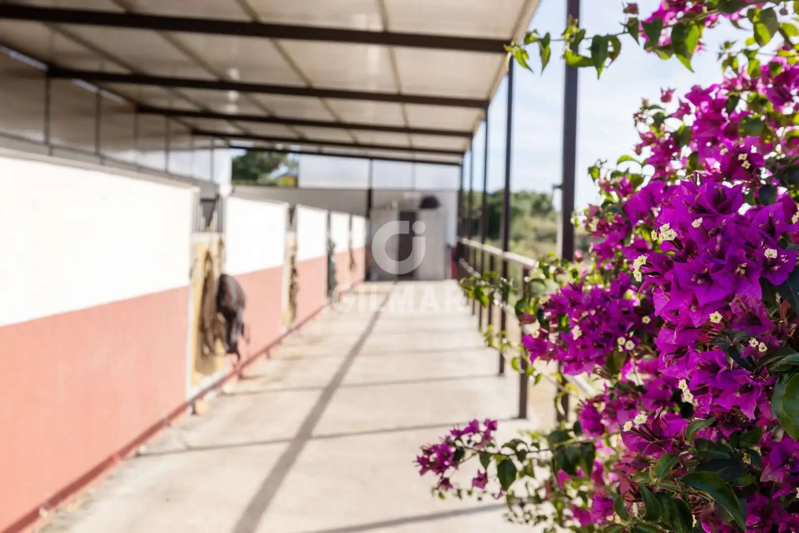 Chalet con jardín en venta en Arcos de la Frontera, imagen 34