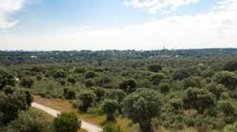 Foto 5 de Edifici en venda a Sol, Madrid Capital