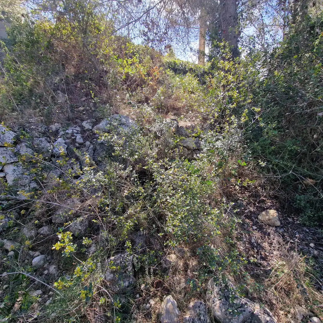 Terreno residencial en venta en Carrer Gessamí 18, imagen 30