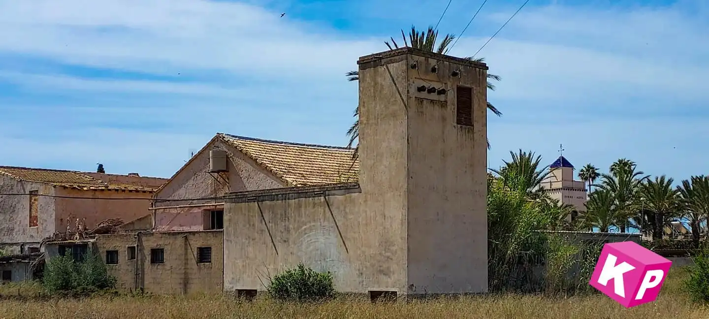 Vista exterior de Finca rústica en venda en Elche / Elx amb Jardí privat