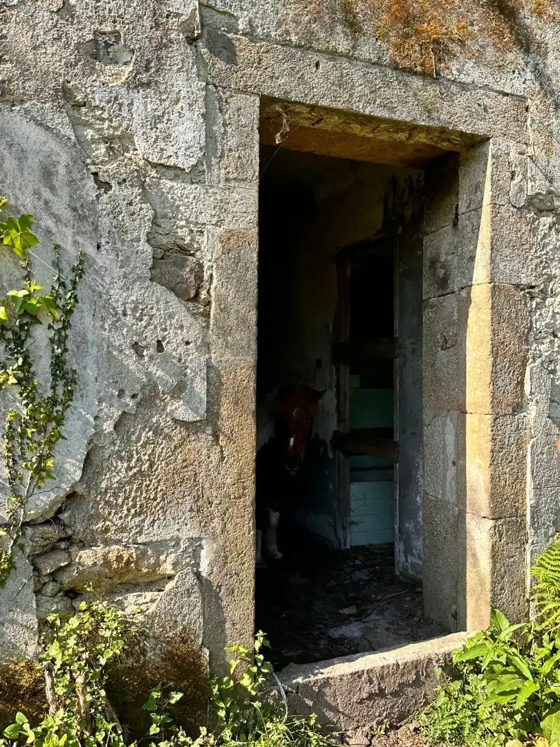 Casa o xalet en venda a Rúa Argimiro González Neira, 7, Vedra