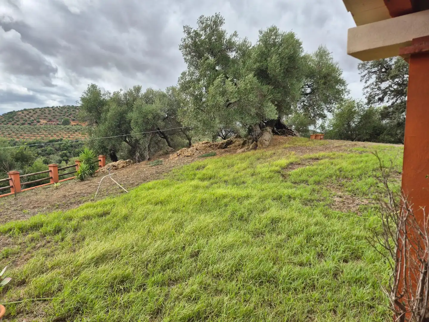 Finca rústica en venda en Puerto Serrano amb Aire condicionat, Calefacció i Jardí privat