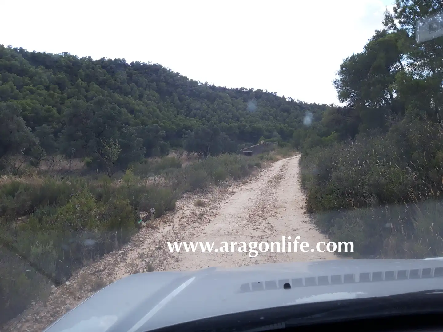 Vista exterior de Finca rústica en venta en Fabara
