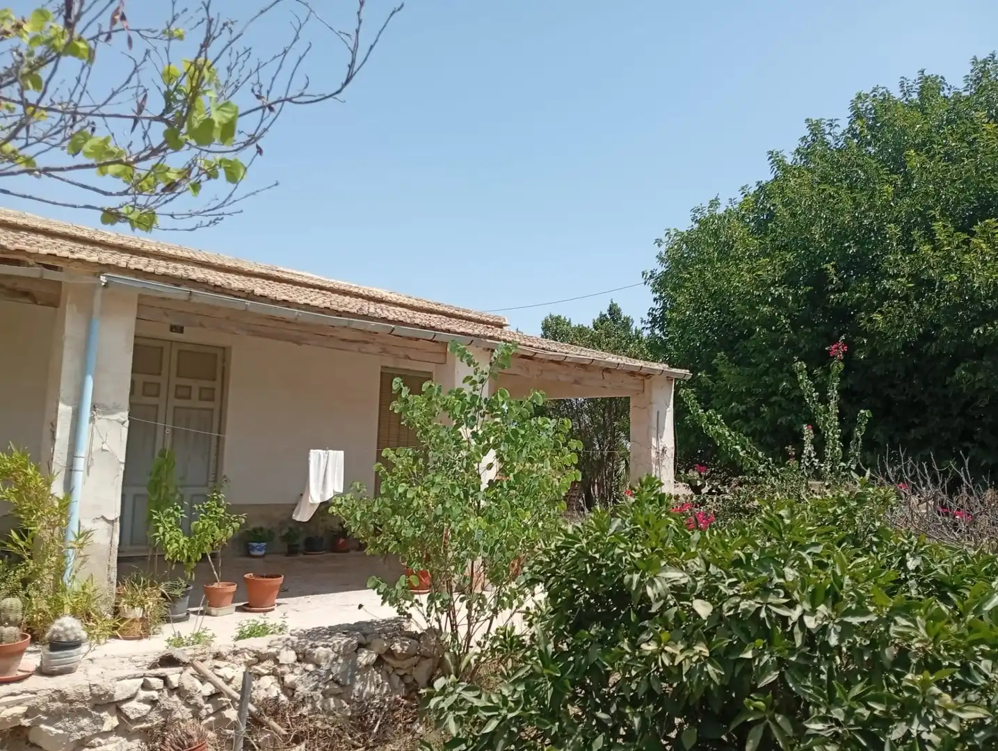 Exterior view of Houses for sale in Puçol