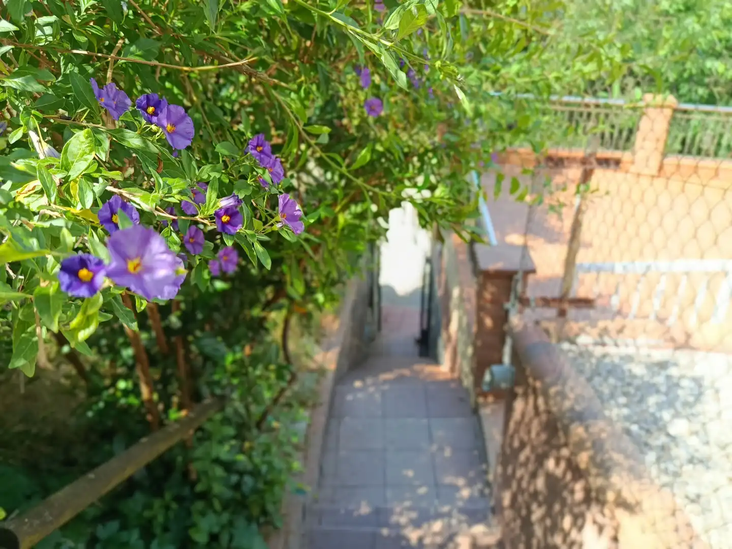 Maison avec terrasse à vendre à Cànoves I Samalús, imagen 44