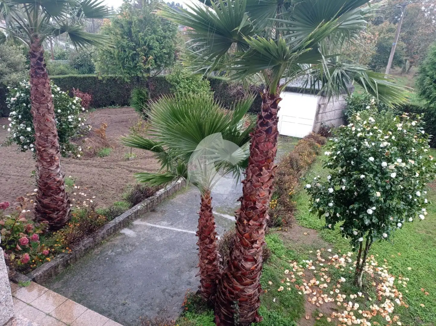 Garden of Houses for sale in Ourense Capital   with Private garden