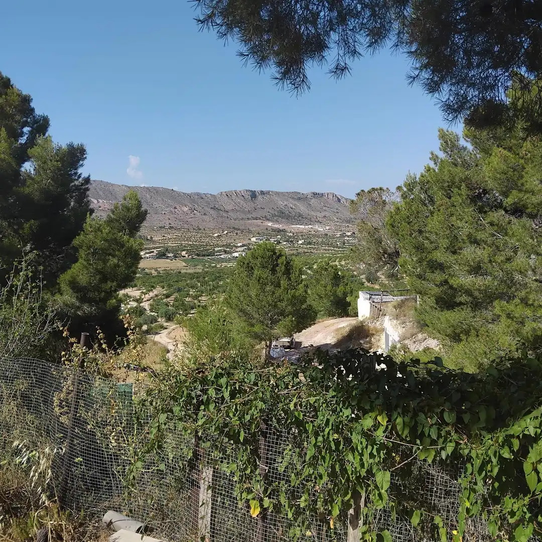 Detached homes for sale in La Romana