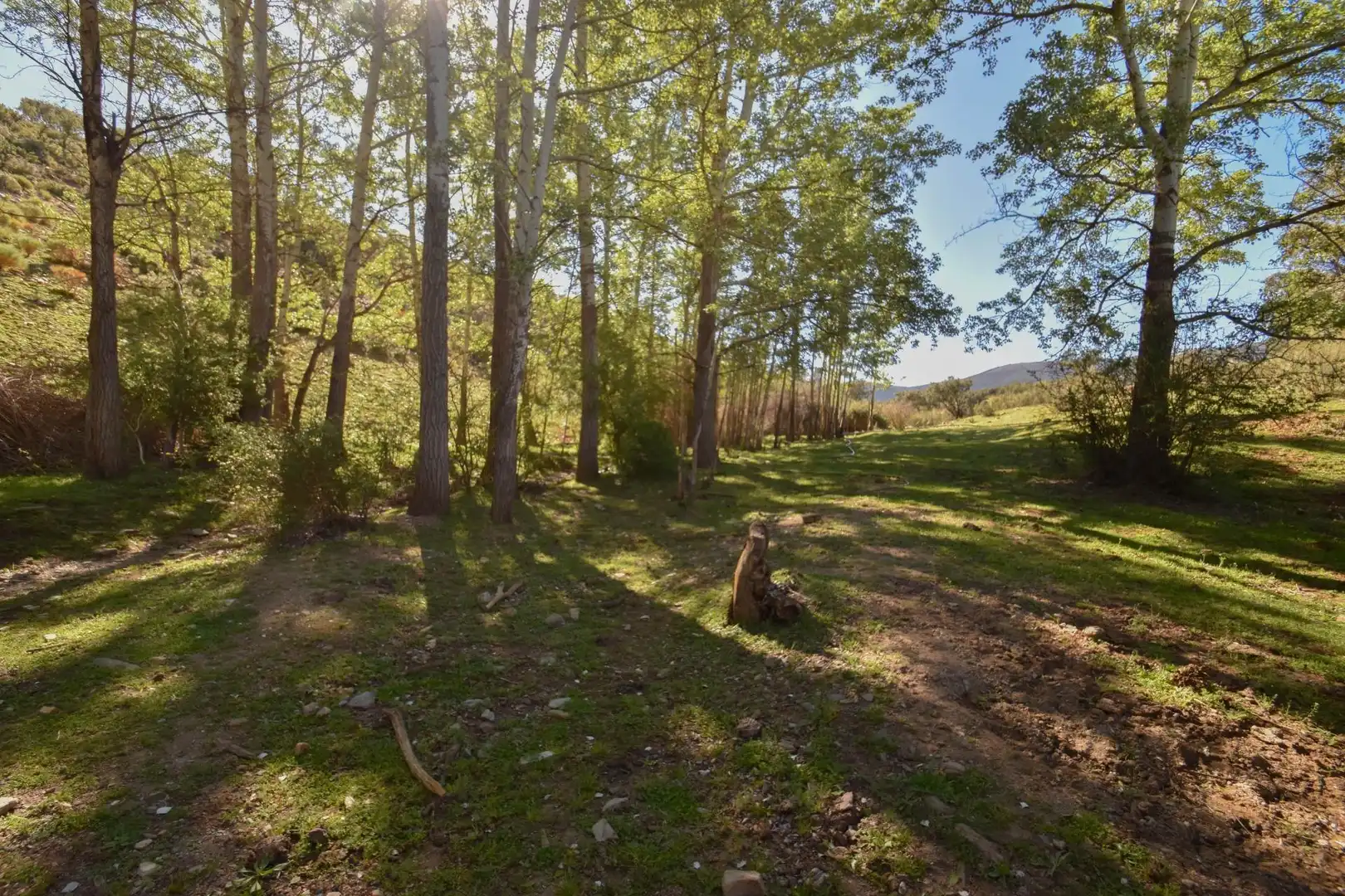 Terreno en venta en Paraje de las Perdices, Lugros