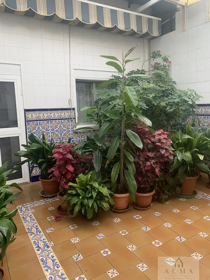 Jardín de Casa o chalet en venta en Almendralejo