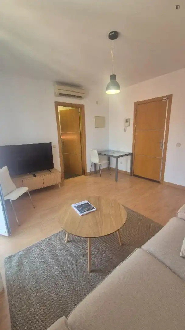 Living room of Apartments for rent in Madrid  with Air Conditioner, Heating and Furnished