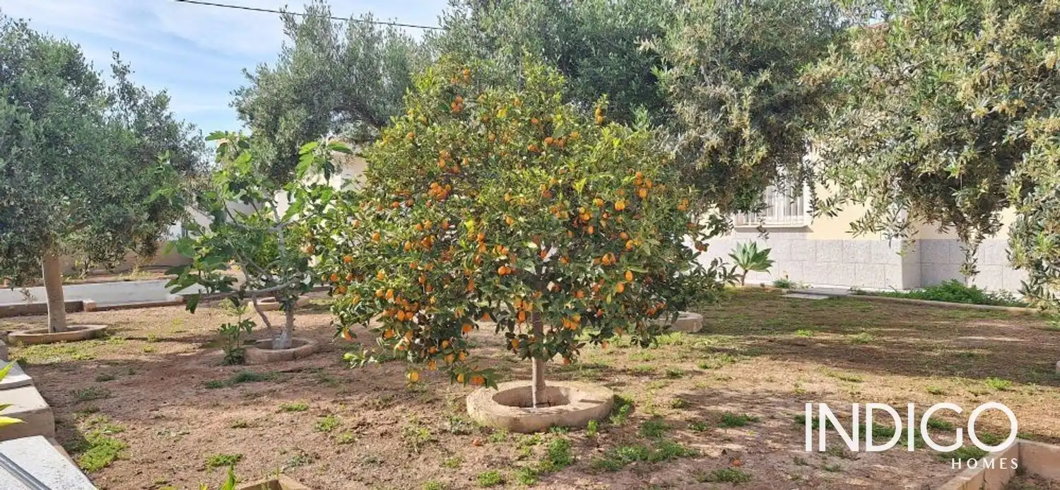 Jardín de Casa o chalet en venta en Elche / Elx con Aire acondicionado, Calefacción y Terraza