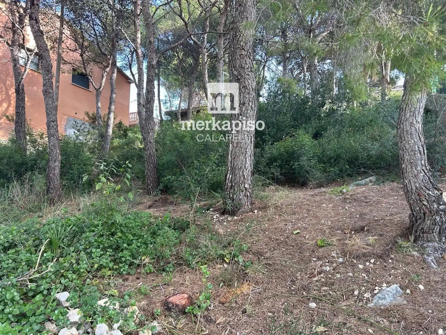 Rural land for sale in Segur de Calafell, imagen 8
