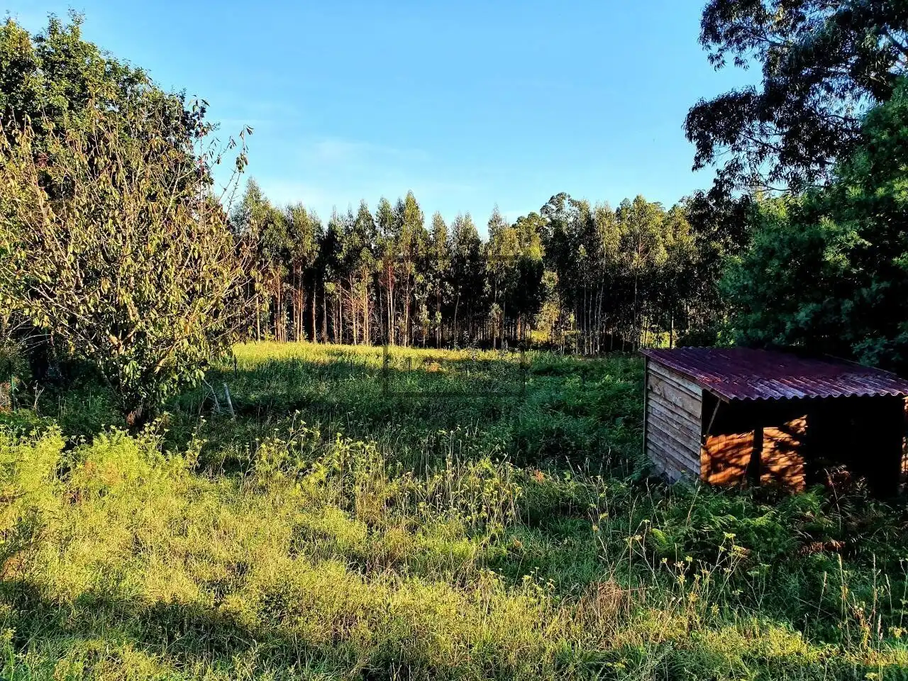Casa o chalet en venta en Ferrol con Calefacción, Terraza y Amueblado