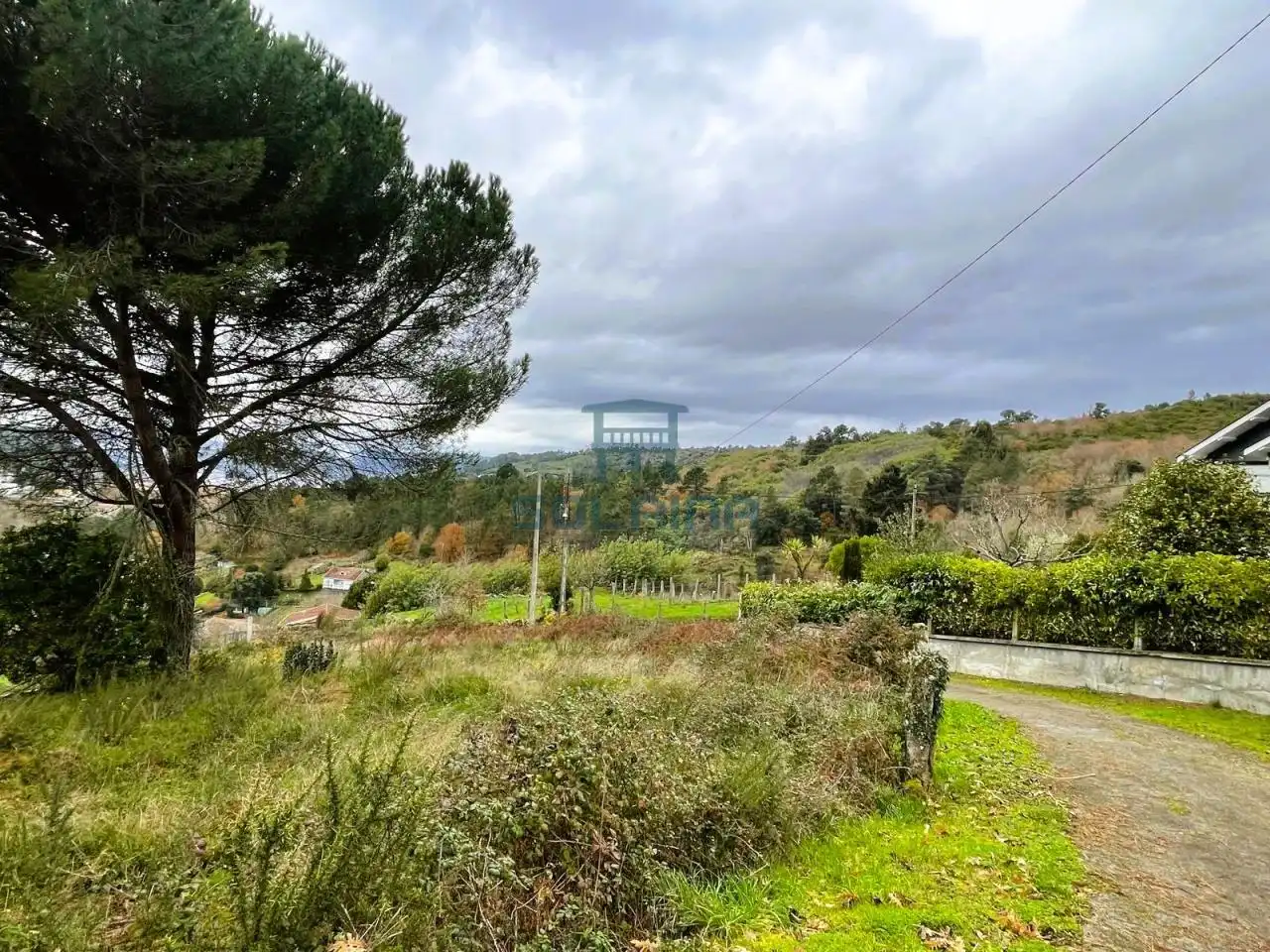Terreni e lotti in vendita a O Pereiro de Aguiar, imagen 2
