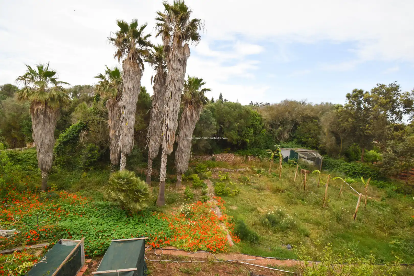 Country homes for sale in Ciutadella de Menorca  with Air Conditioner, Private garden and Terrace