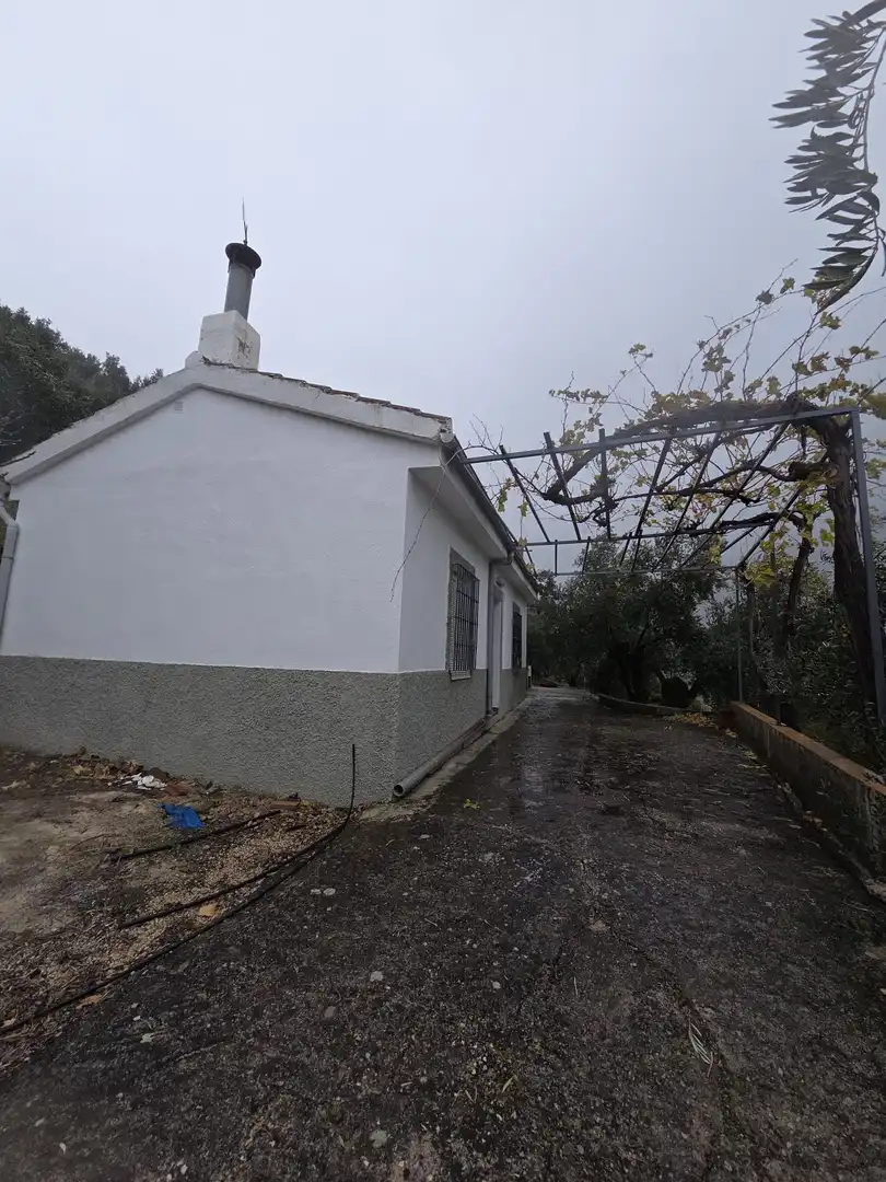Vista exterior de Finca rústica en venta en Jaén