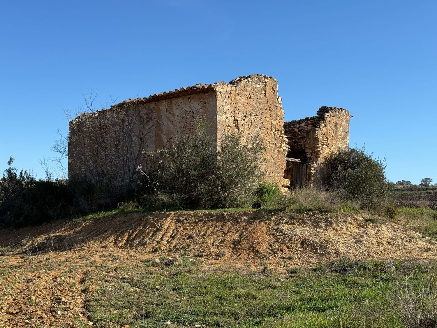Vista exterior de Finca rústica en venta en Puigpelat