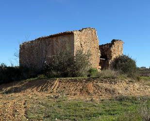 Vista exterior de Finca rústica en venda en Puigpelat