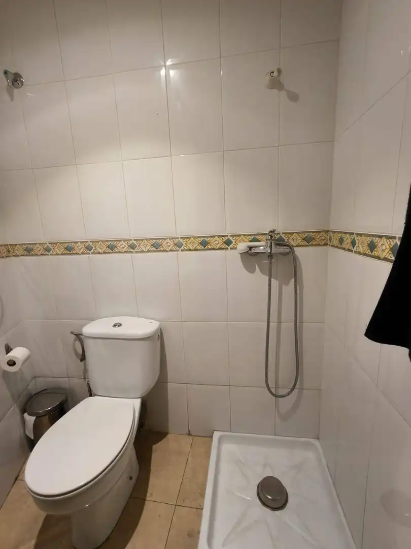 Bathroom of Commercial properties for rent in Campanar