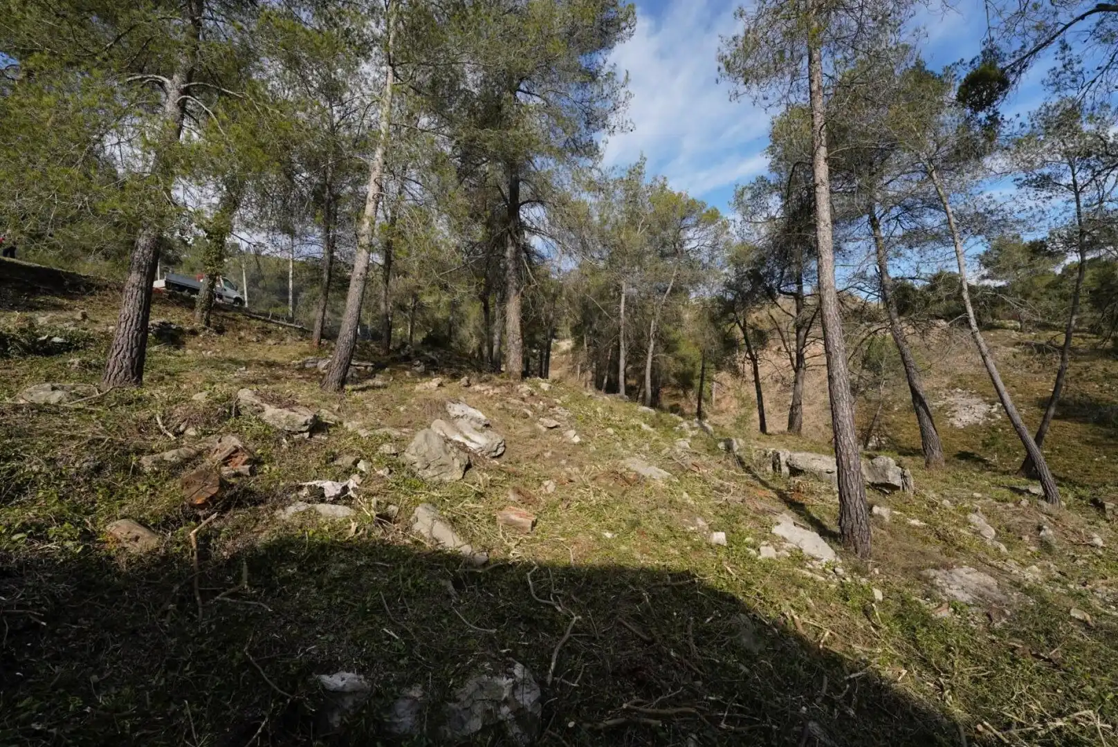 Terrenys i solars en venda a Olesa de Bonesvalls, imagen 2
