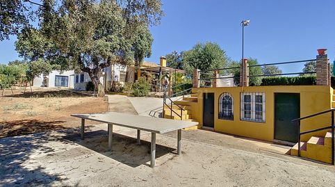 Photo 4 of Houses for sale in Diseminados Poligono 9, 258, Adamuz, Córdoba