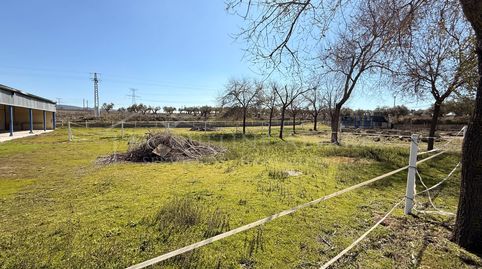 Foto 2 de Finca rústica en venta en Yeles, Toledo