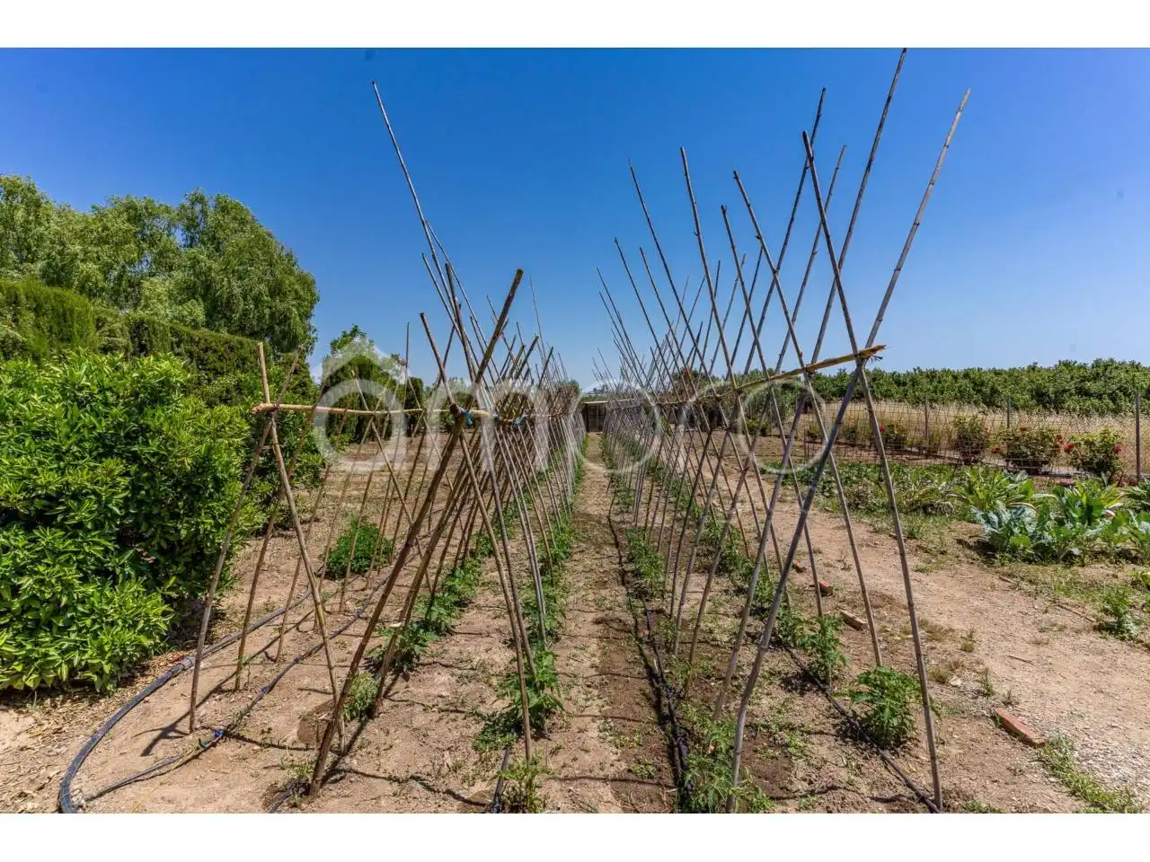 Finca rústica en venta en Vilallonga del Camp con Calefacción, Jardín privado y Terraza