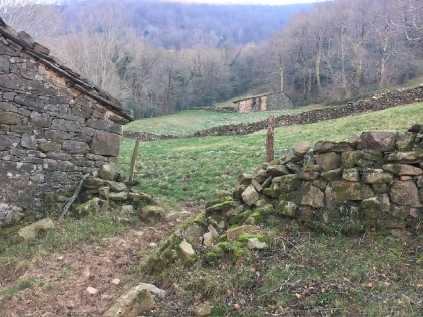 Casa o chalet en venta en Vega de Pas