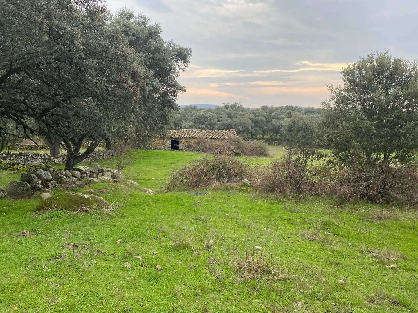 Terreni e lotti in vendita a Navamorcuende