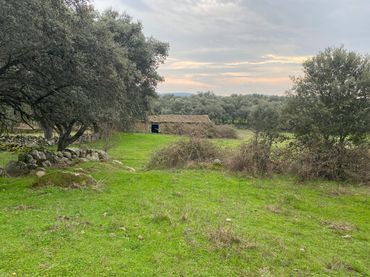 Terreno rustico in vendita a Navamorcuende