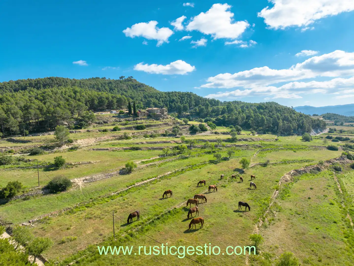 Maison rustique avec jardin à vendre à Castellgalí, imagen 12