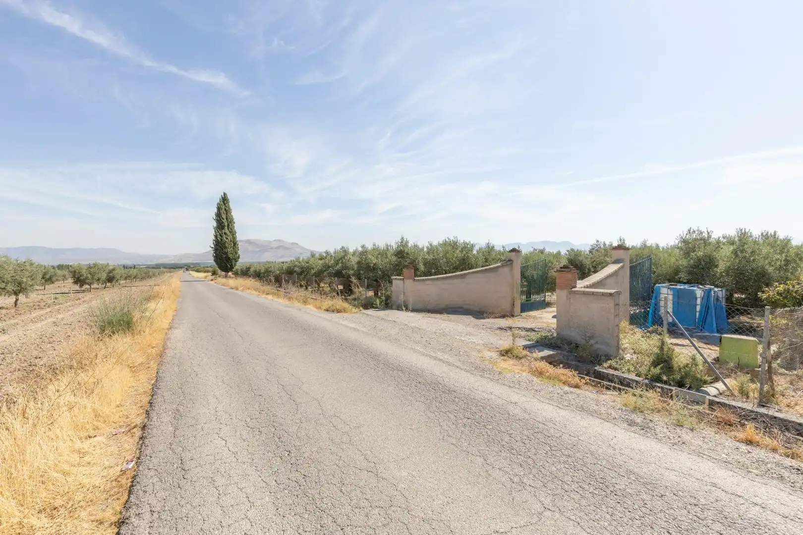 Lands and plots for sale in DISEMINADOS, imagen 24