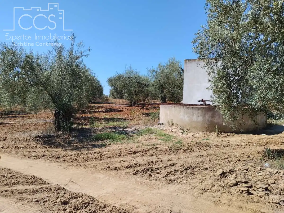 Terreni e lotti in vendita a Almonte ciudad, imagen 10