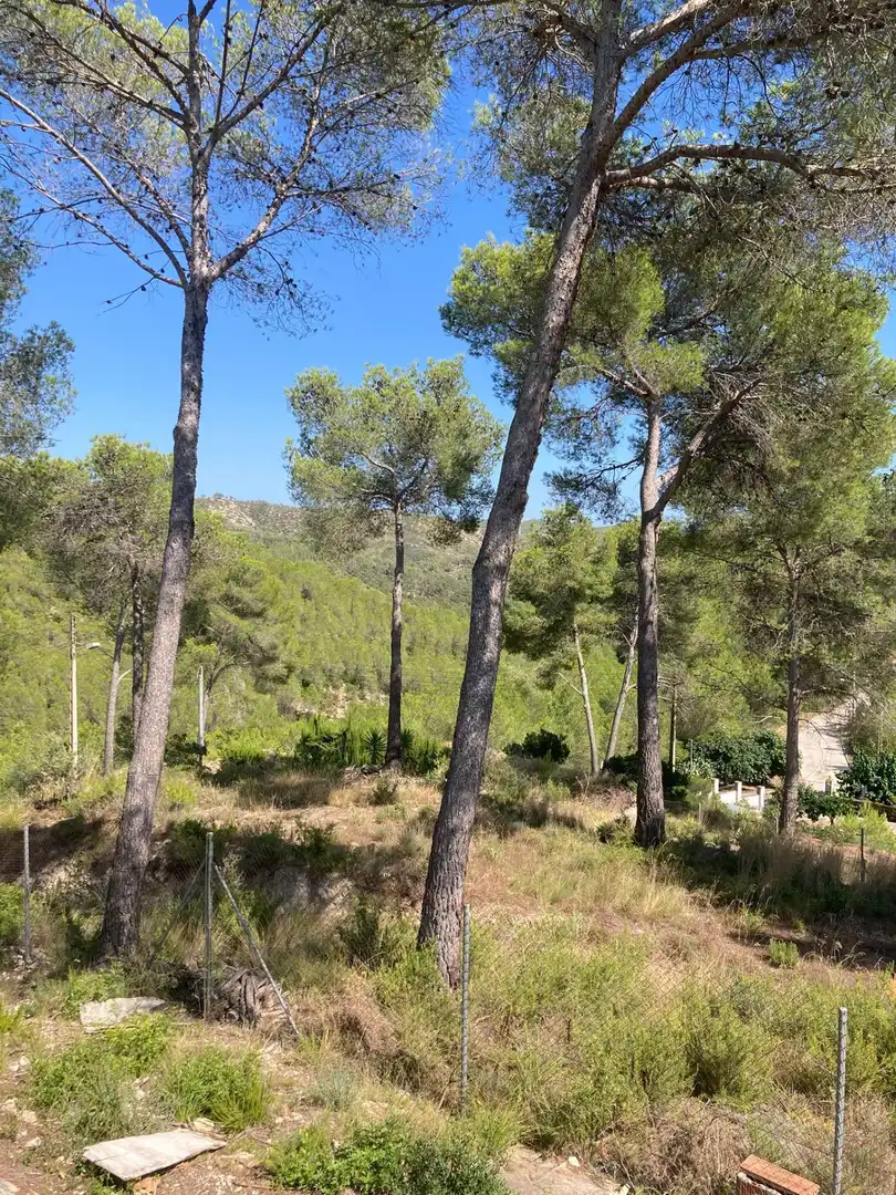 Terreno residenziale in vendita a Carrer Carrer de la Ginesta, 19 19, imagen 16