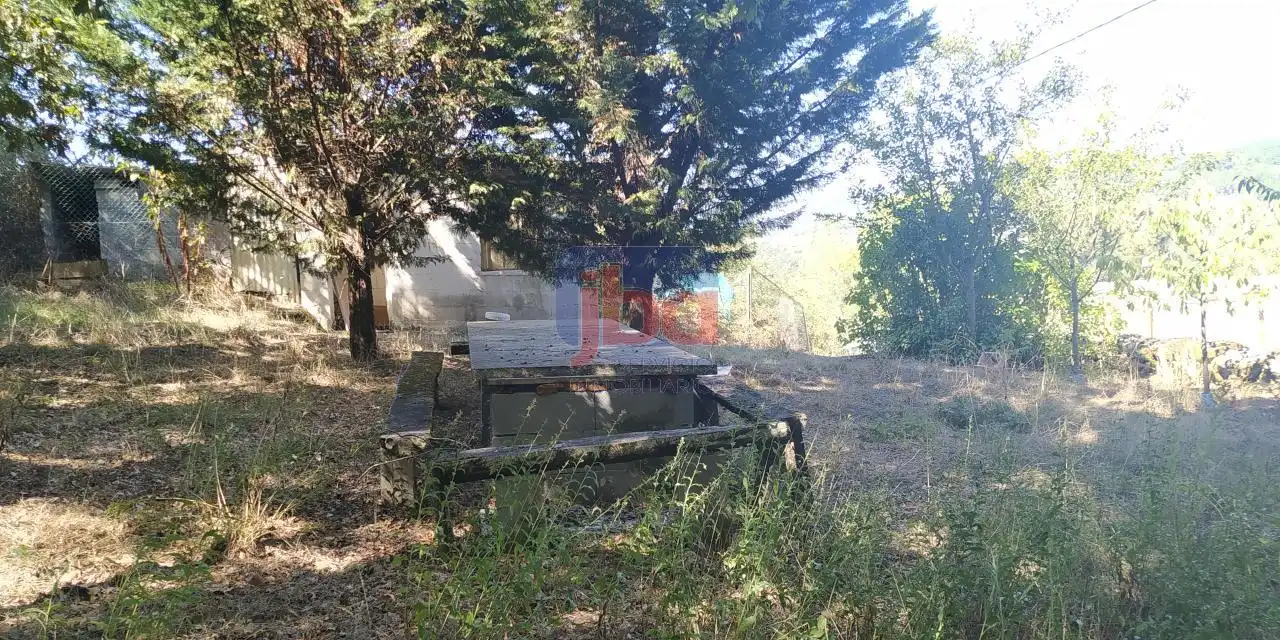 Terreni e lotti in vendita a O Pereiro de Aguiar, imagen 2
