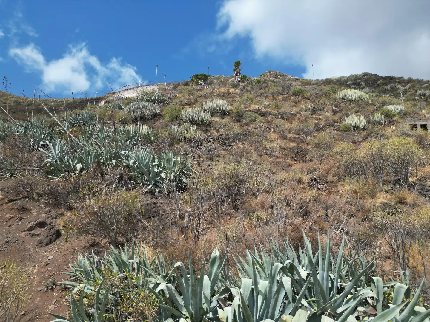 Land for sale in Calle el Cercado, San Andrés, Santa Cruz de Teneri, -1, Anaga