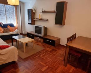 Living room of Flat for sale in Burgos Capital  with Terrace