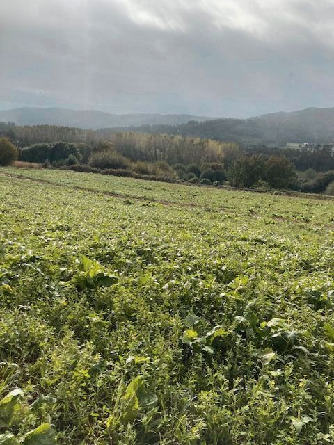 Residencial en venta en Lugar Medoña, 2, A Laracha