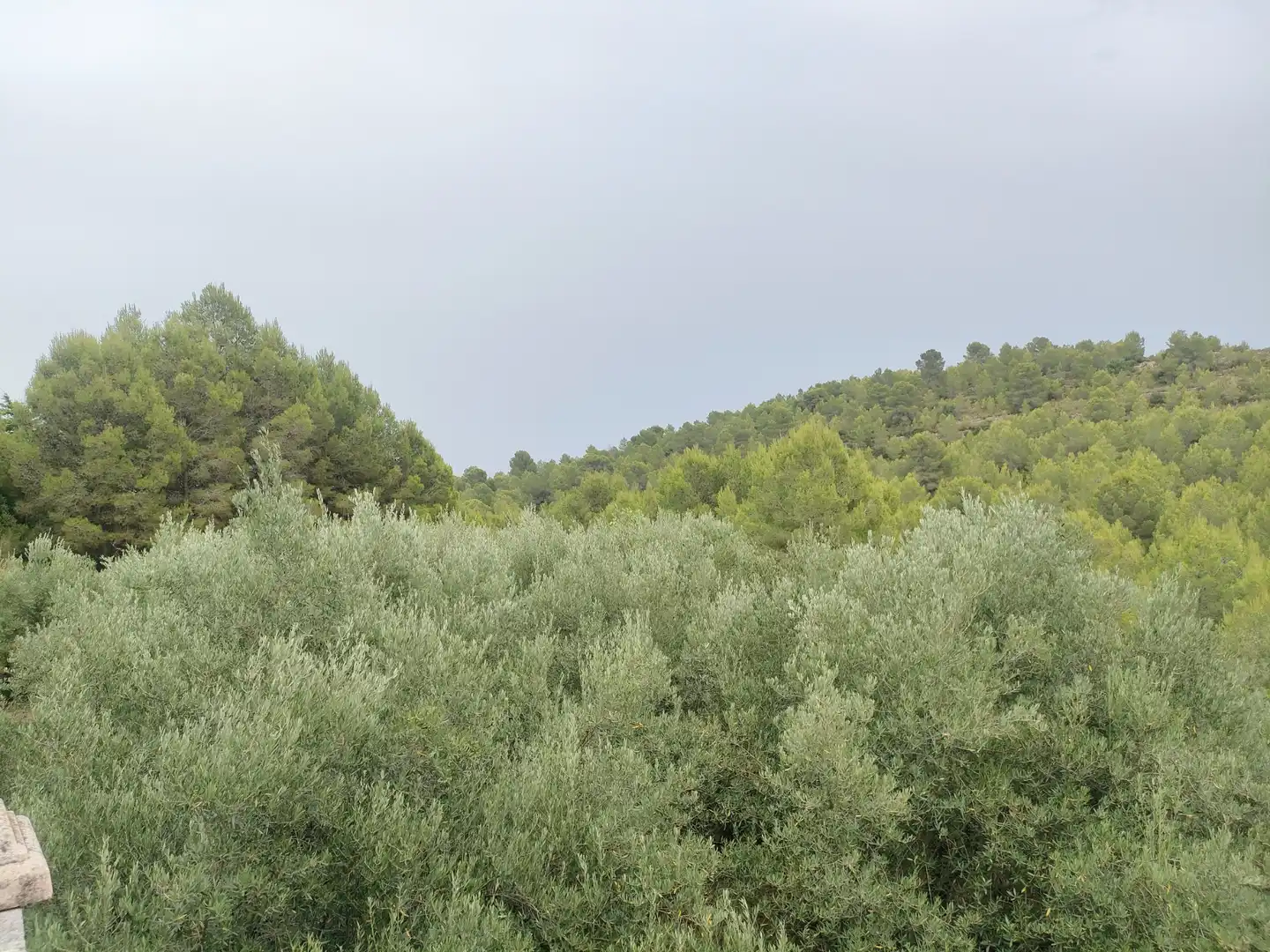 Casa o chalet en venta en Turís con Jardín privado, Terraza y Trastero