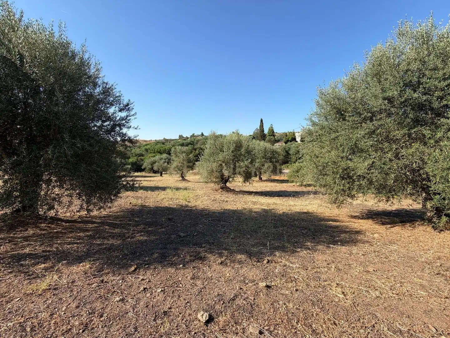 Terreni e lotti in vendita a Polígono 14 Parcela 58 ENTRE RIOS. MIJAS (MÁLAGA), imagen 11