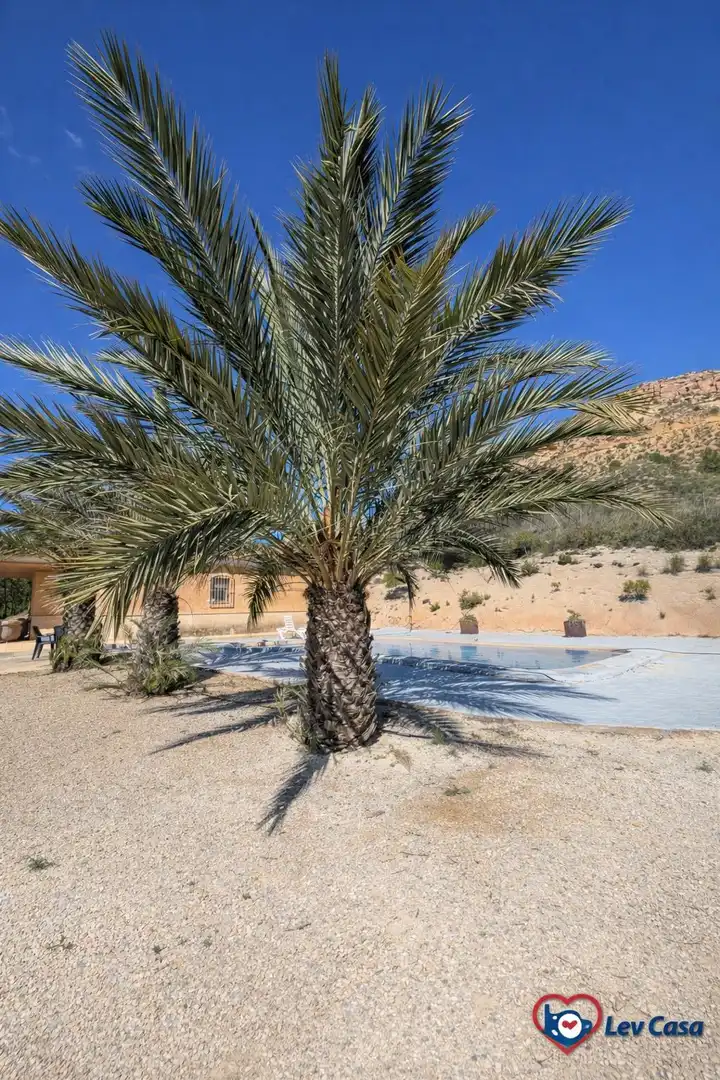 Chalet con piscina en venta en Aledo, imagen 15