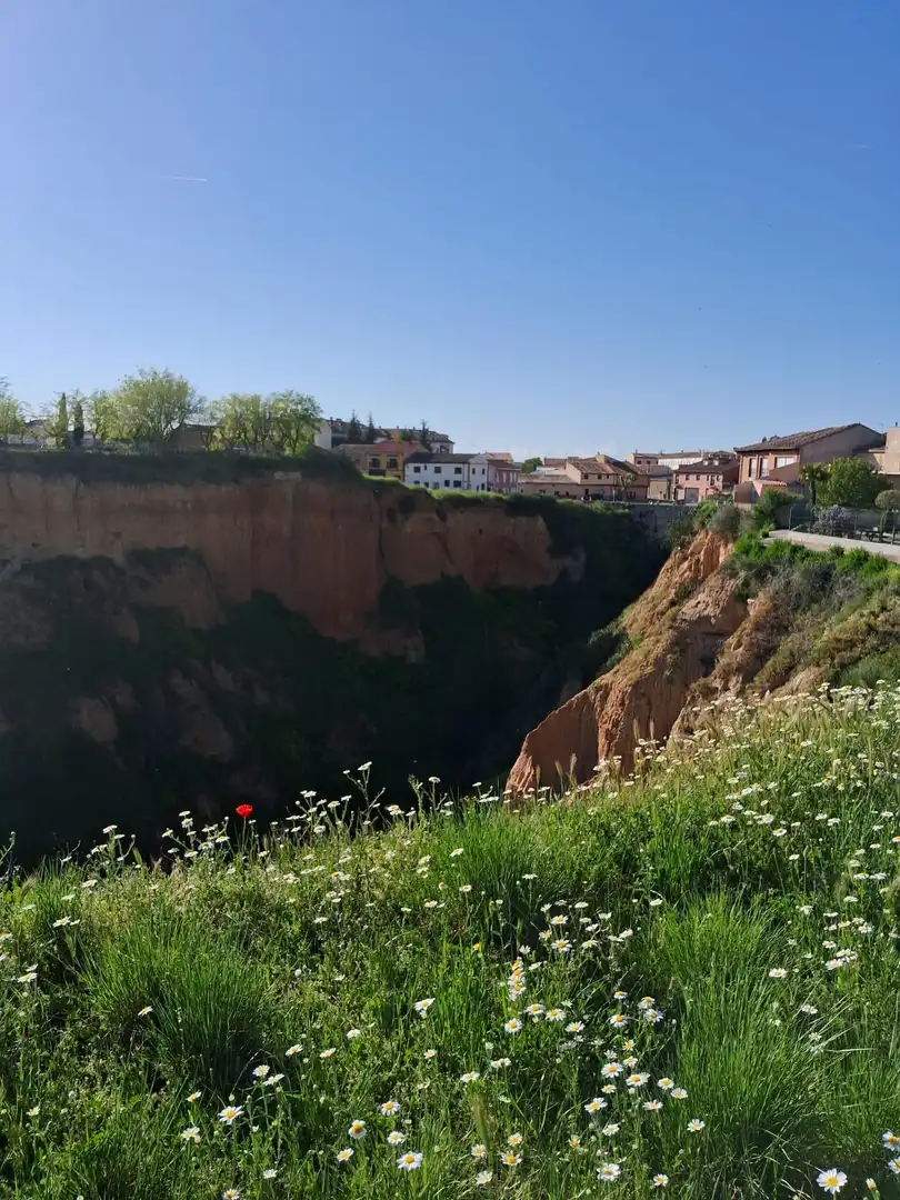 Vista exterior de Casa o chalet en venta en Toro con Jardín privado