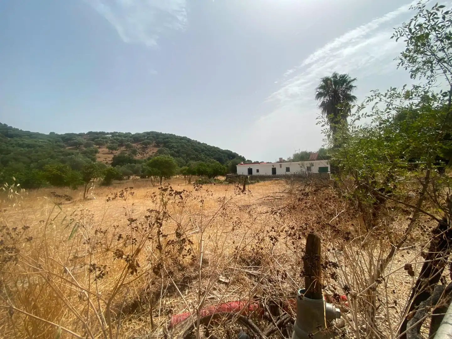 Terreni e lotti in vendita a Alcalá de los Gazules, imagen 81