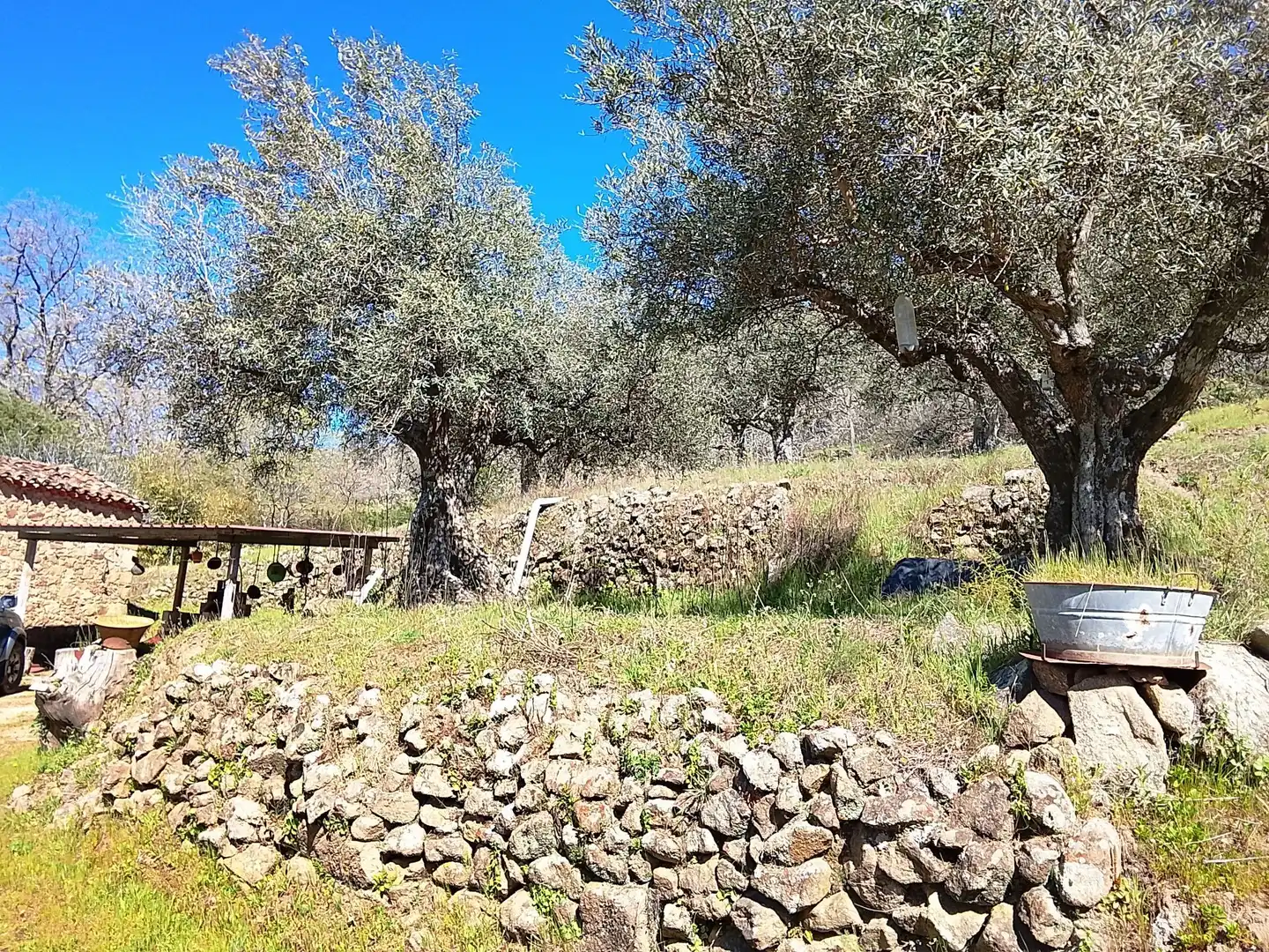 Terreni e lotti in vendita a Candeleda, imagen 38
