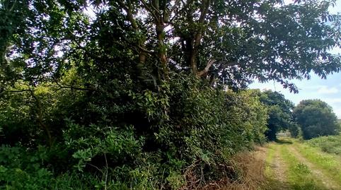 Foto 4 de Casa o xalet en venda a Calle Retela, 8, Tapia de Casariego, Asturias