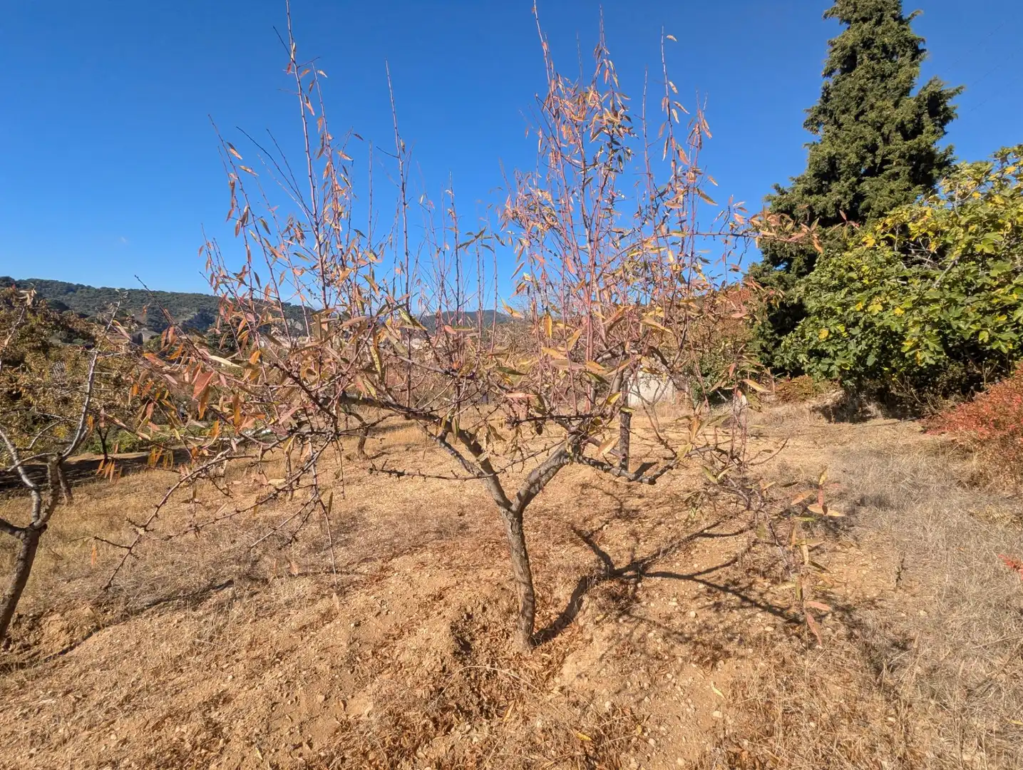 Terreno rustico in vendita a Estella / Lizarra, imagen 9