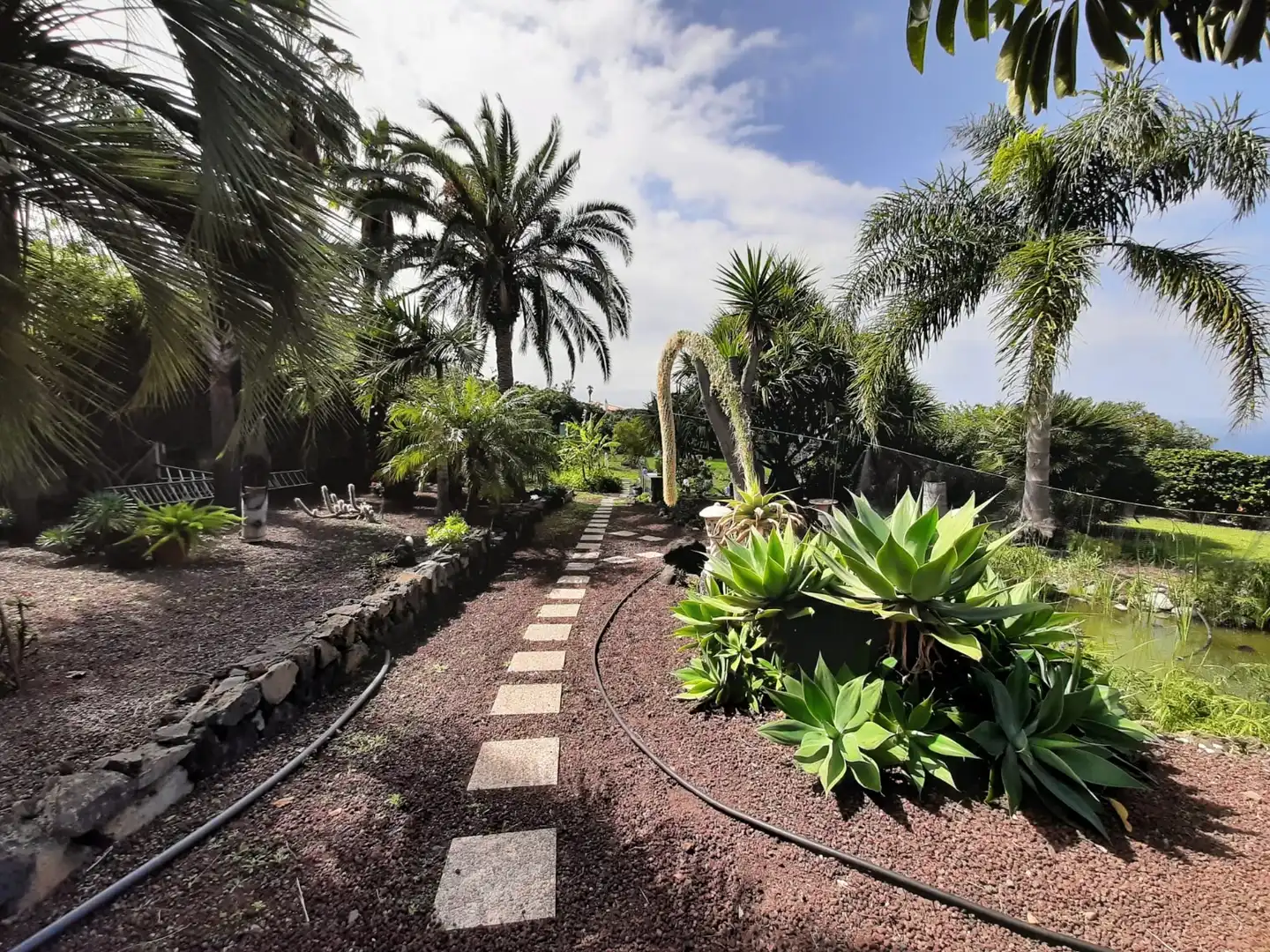 Jardín de Casa o chalet en venta en Santa Úrsula con Jardín privado, Terraza y Piscina