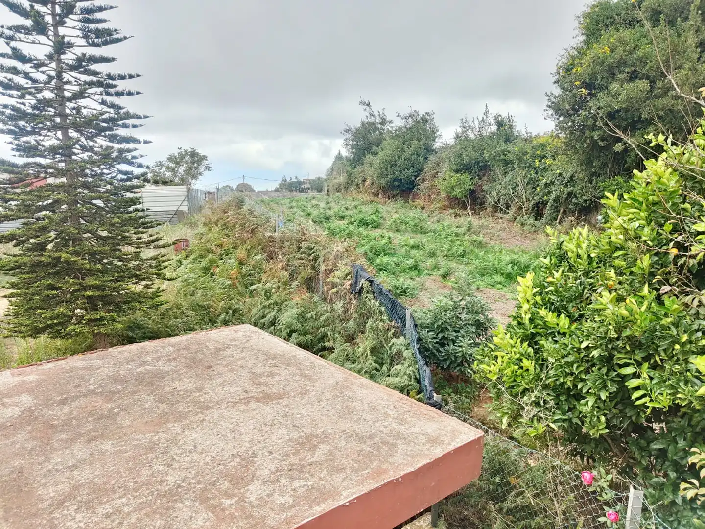 Country homes for sale in El Rosario  with Private garden, Terrace and Storage room