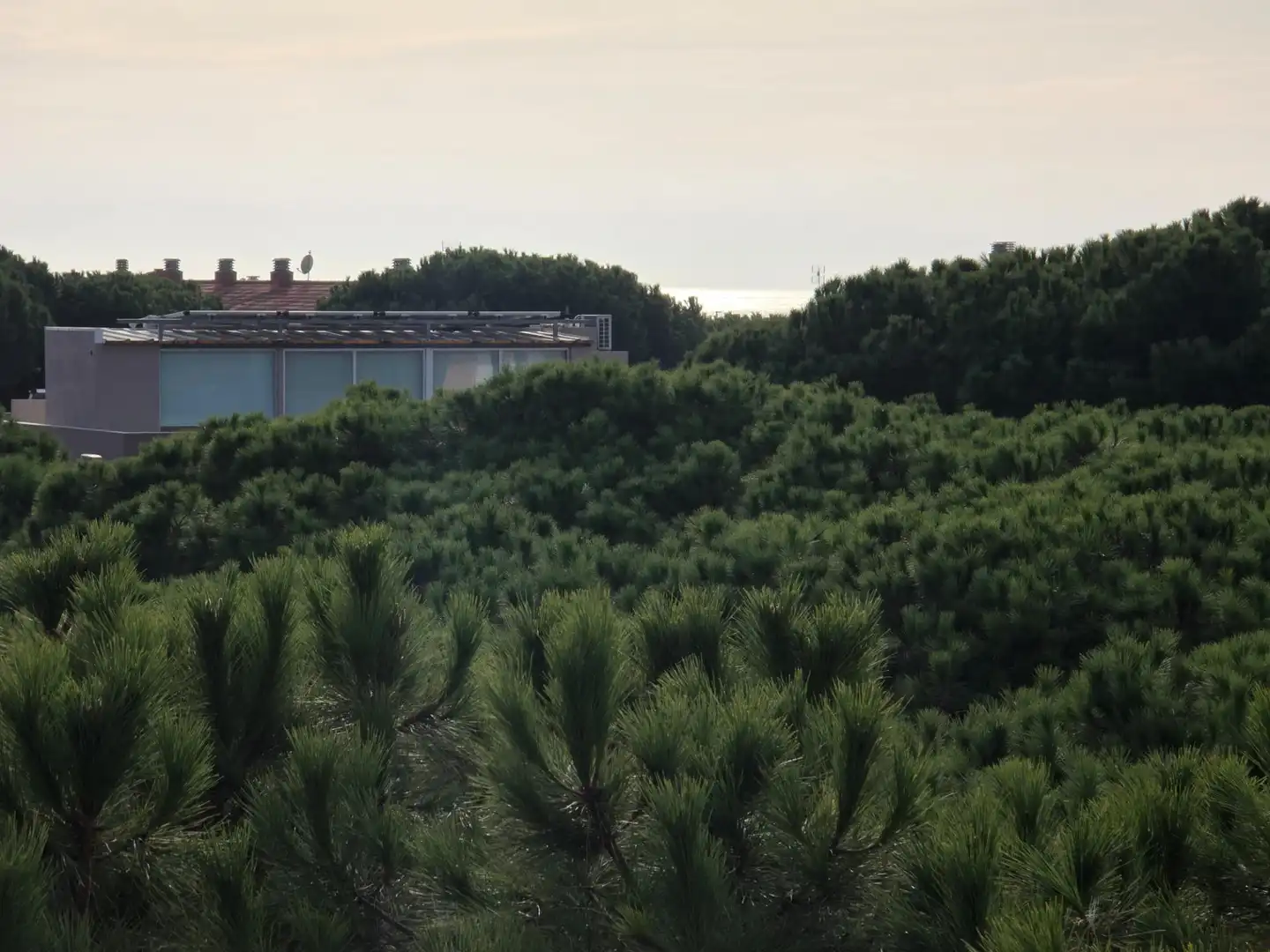 Àtic en venda en Gavà amb Calefacció, Jardí privat i Terrassa
