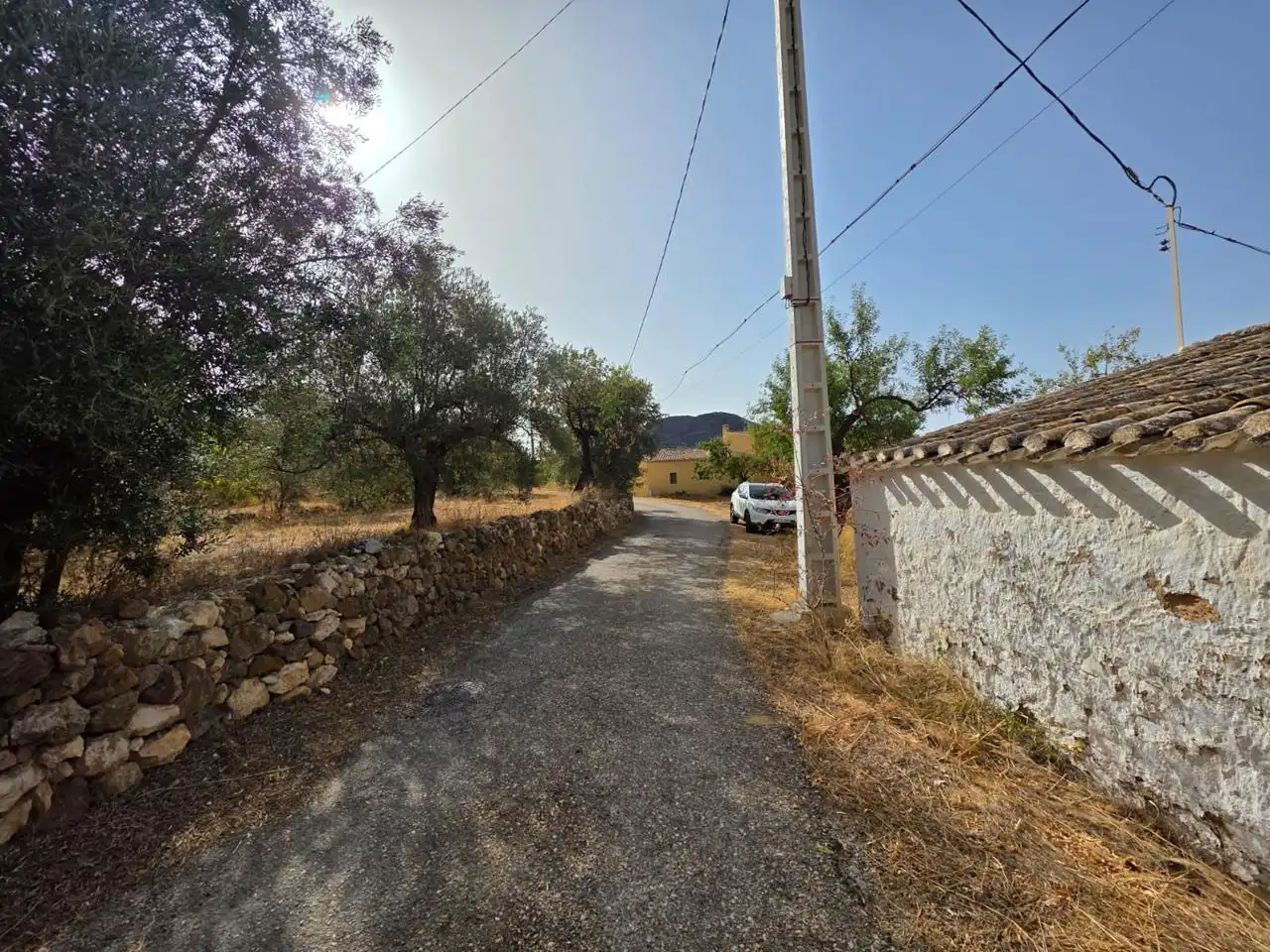 Finca rústica en venda en Bédar amb Jardí privat i Terrassa